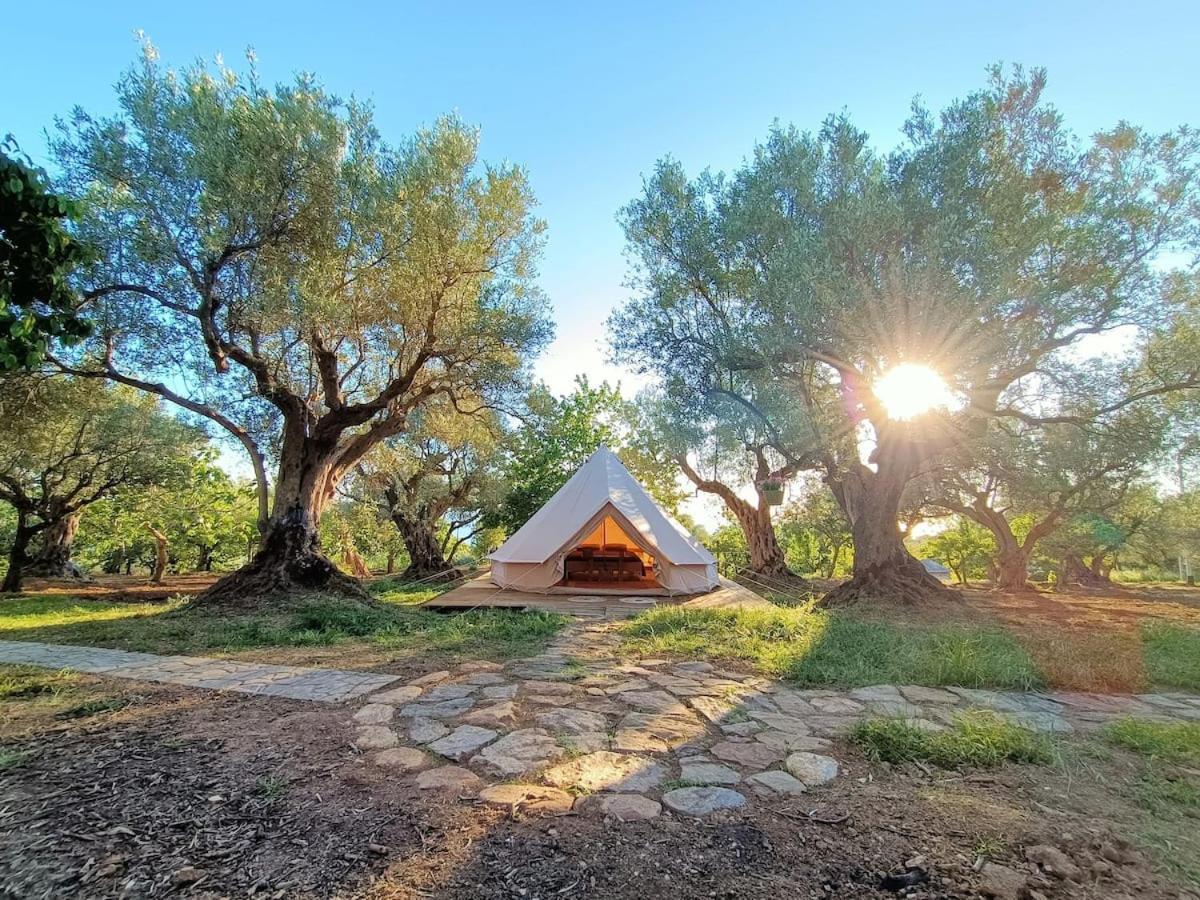 Golden Camp 호텔 팔레나 외부 사진