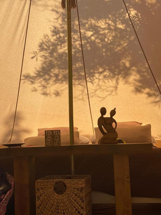 Golden Camp 호텔 팔레나 객실 사진